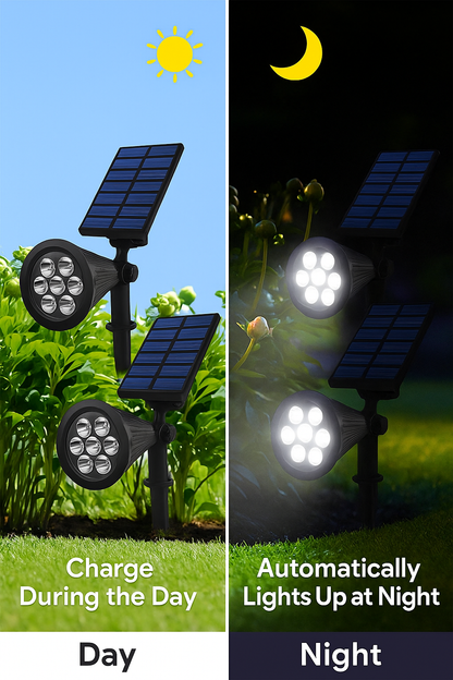 SunFlow: ¡Pinta tus Noches de Magia y Color!