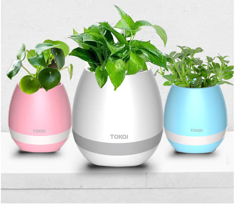 Maceta Musical Inteligente TOKQI: ¡Donde la Naturaleza y la Música Crean Magia!